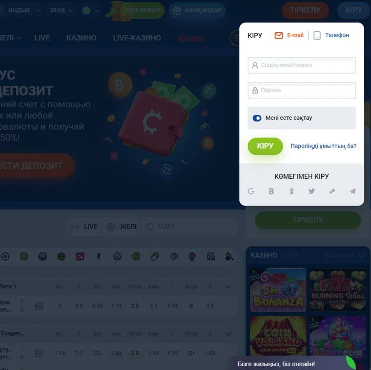 Вход через email